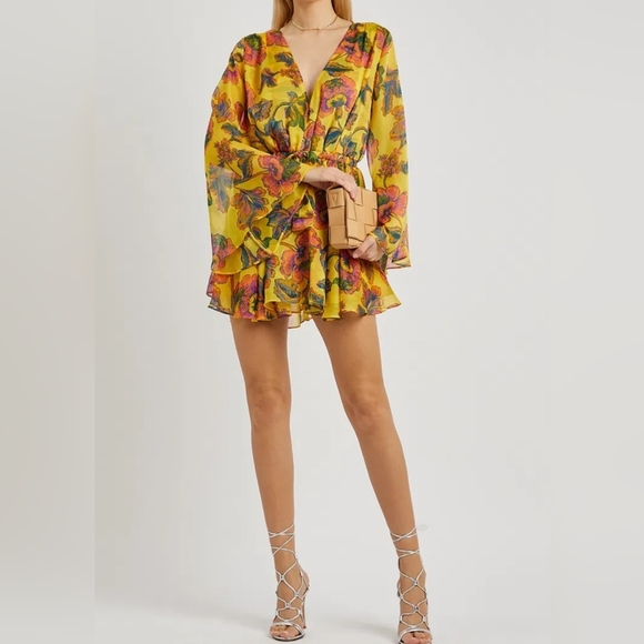 Misa Los Angeles Dresses & Skirts - Misa Los Angeles Kaia Chiffon Floral Mini Dress Size XS